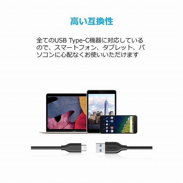 A8163021_画像4