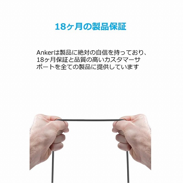 A8163021_画像5