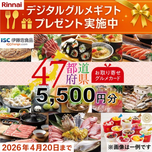 RHX31W42J4RW 13A_画像1