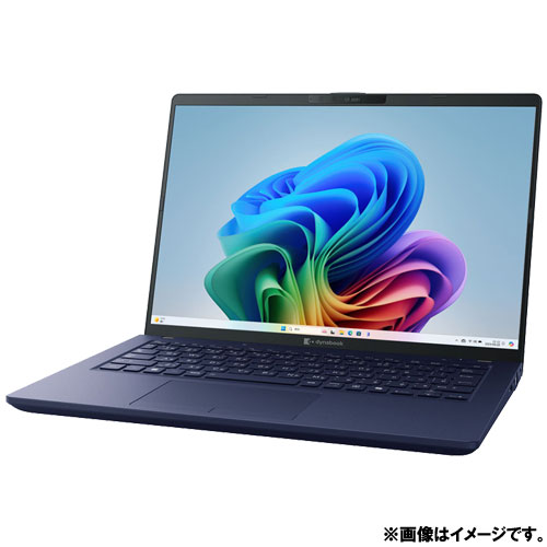 P1P9YPBL_画像4