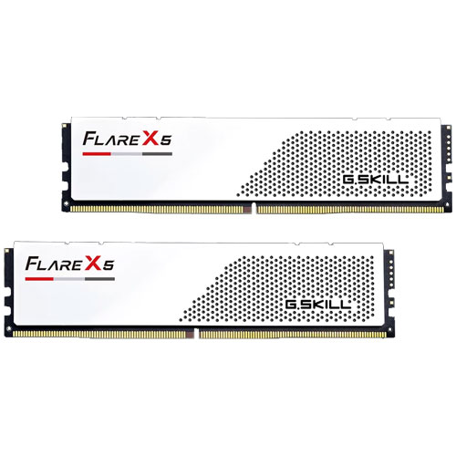 G.SKILL F5-6000J3036F48GX2-FX5W [Flare X5 (EXPO) 96GB (48GBx2) DDR5 6000 MT/s CL30-36-36-96 1.35V Wh]