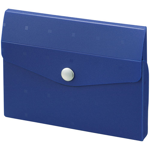 LIHIT LAB A-6002-11-NVX10 [【10個セット】 CUBE FIZZ カードケース ネイビー]