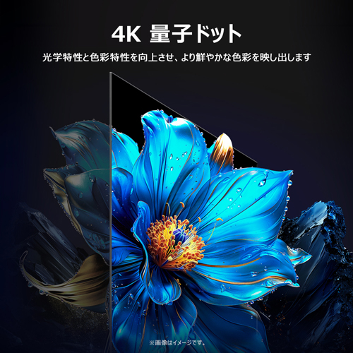 50P7K_画像5