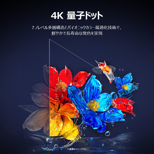 55P8K_画像5