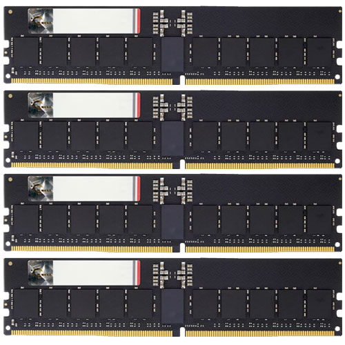 G.SKILL F5-6000R3036G16GQ4-G5N [G5 Neo (EXPO) 64GB (16GBx4) DDR5 6000 MT/s ECC Reg CL30-36-36-96 1.40V]