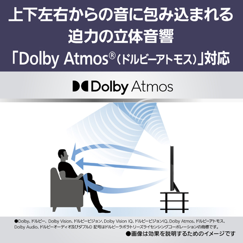 TV-65Z95B_画像18