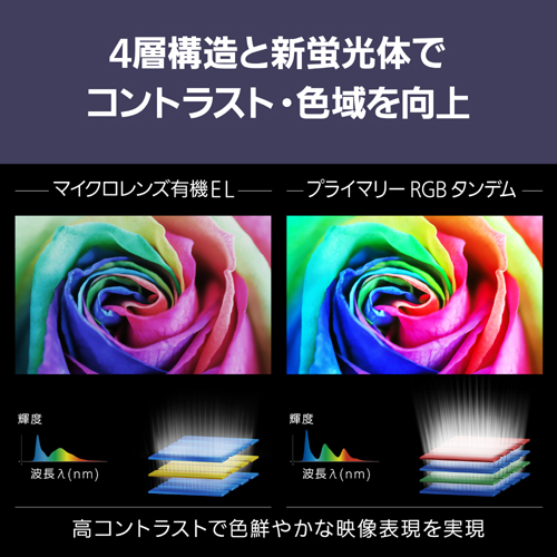 TV-55Z95B_画像2