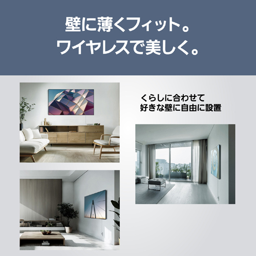 TH-55LW2L_画像5