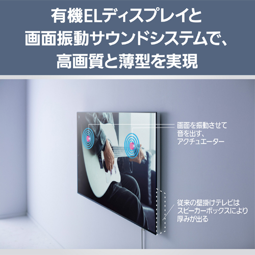 TH-55LW2L_画像9