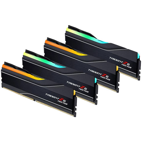 G.SKILL F5-6000J3644D64GX4-TZ5NR [Trident Z5 Neo RGB (EXPO) 256GB (64GBx4) DDR5 6000 CL36-44-44-96 1.25V]
