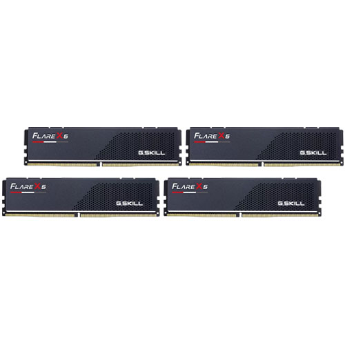 G.SKILL F5-6000J2836G48GX4-FX5 [Flare X5 (EXPO) 192GB (48GBx4) DDR5 6000 MT/s CL28-36-36-96 1.40V]