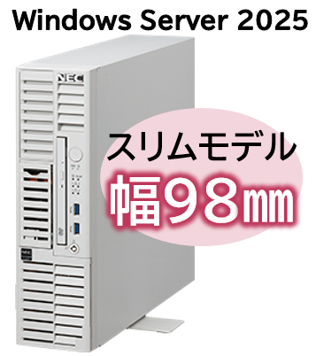 NEC NP8100-3024YP6Y [T110m-S Xeon 4C/16G/2TB*2/R1/W25]