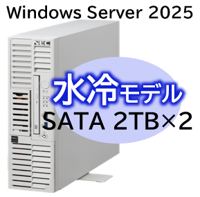 NEC NP8100-3025YP4Y [T110m-S 水冷 Xeon 4C/16G/2TB*2/R1/W25]