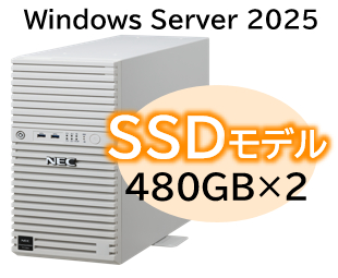 NEC NP8100-3026YPAY [T110m Xeon 4C/16G/480GB*2/R1/W25]