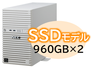 NEC NP8100-3026YPBY [T110m Xeon 4C/16G/960GB*2/R1/W22]