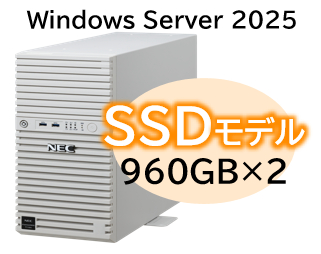 NEC NP8100-3026YPCY [T110m Xeon 4C/16G/960GB*2/R1/W25]
