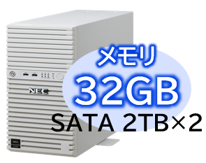 NEC NP8100-3026YPDY [T110m Xeon 4C/32G/2TB*2/R1/W22]