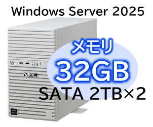 NEC NP8100-3026YPEY [T110m Xeon 4C/32G/2TB*2/R1/W25]