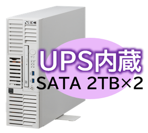 NEC NP8100-3024YP9Y [T110m-S UPS内蔵 Xeon 4C/16G/2TB*2/R1/W22]