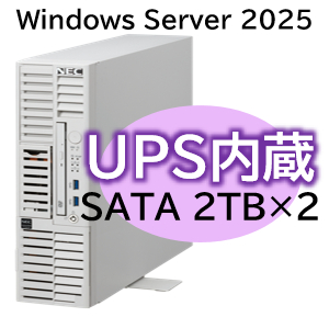 NEC NP8100-3024YPAY [T110m-S UPS内蔵 Xeon 4C/16G/2TB*2/R1/W25]