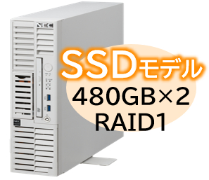NEC NP8100-3024YPFY [T110m-S Xeon 4C/16G/480GB*2/R1/W22]