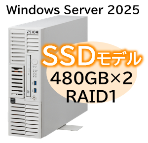 NEC NP8100-3024YPGY [T110m-S Xeon 4C/16G/480GB*2/R1/W25]