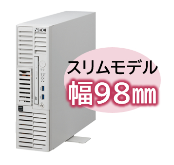 NEC NP8100-3024YPJY [T110m-S Xeon 4C/16G/1.2TB*3/R5/W22]