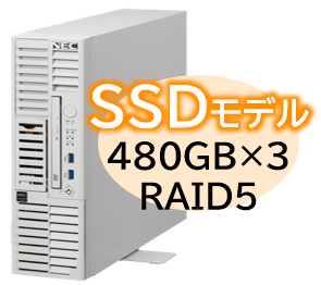 NEC NP8100-3024YPLY [T110m-S Xeon 4C/16G/480GB*3/R5/W22]