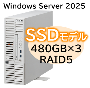 NEC NP8100-3024YPMY [T110m-S Xeon 4C/16G/480GB*3/R5/W25]