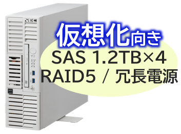 NEC NP8100-3024YPNY [T110m-S Xeon 6C/32G/1.2TB*4/R5/W22]