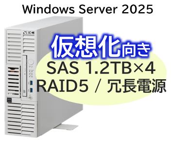 NEC NP8100-3024YPOY [T110m-S Xeon 6C/32G/1.2TB*4/R5/W25]