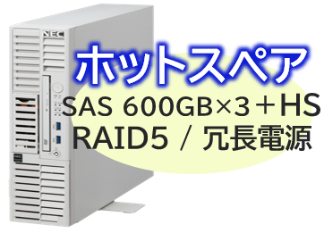 NEC NP8100-3024YPPY [T110m-S Xeon 6C/32G/600GB*4/R5/W22]