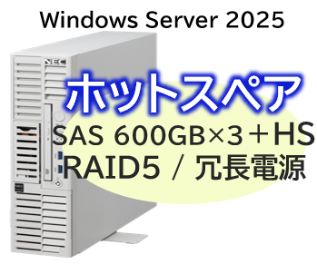 NEC NP8100-3024YPQY [T110m-S Xeon 6C/32G/600GB*4/R5/W25]