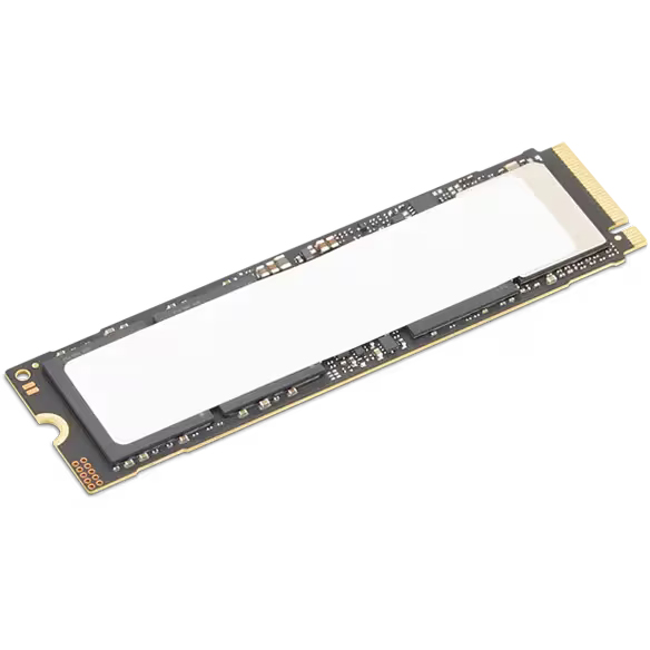 レノボ・ジャパン 4XB1S30110 [ThinkStation 512GB Performance M.2 SSD]