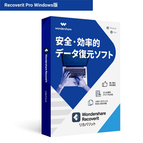 RecoveritProWin_画像0