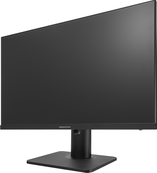 プリンストンテクノロジー PTF-H241WS-BK [液晶ディスプレイ 23.8型/1920×1080/ブラック]