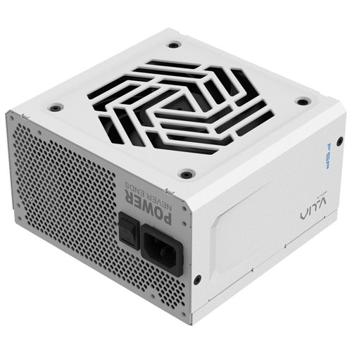 VITA-1000GM (White Edition)_画像1