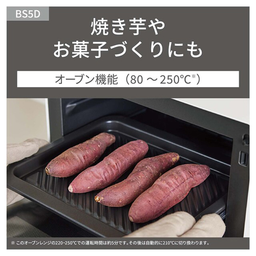 NE-BS5D-W_画像5