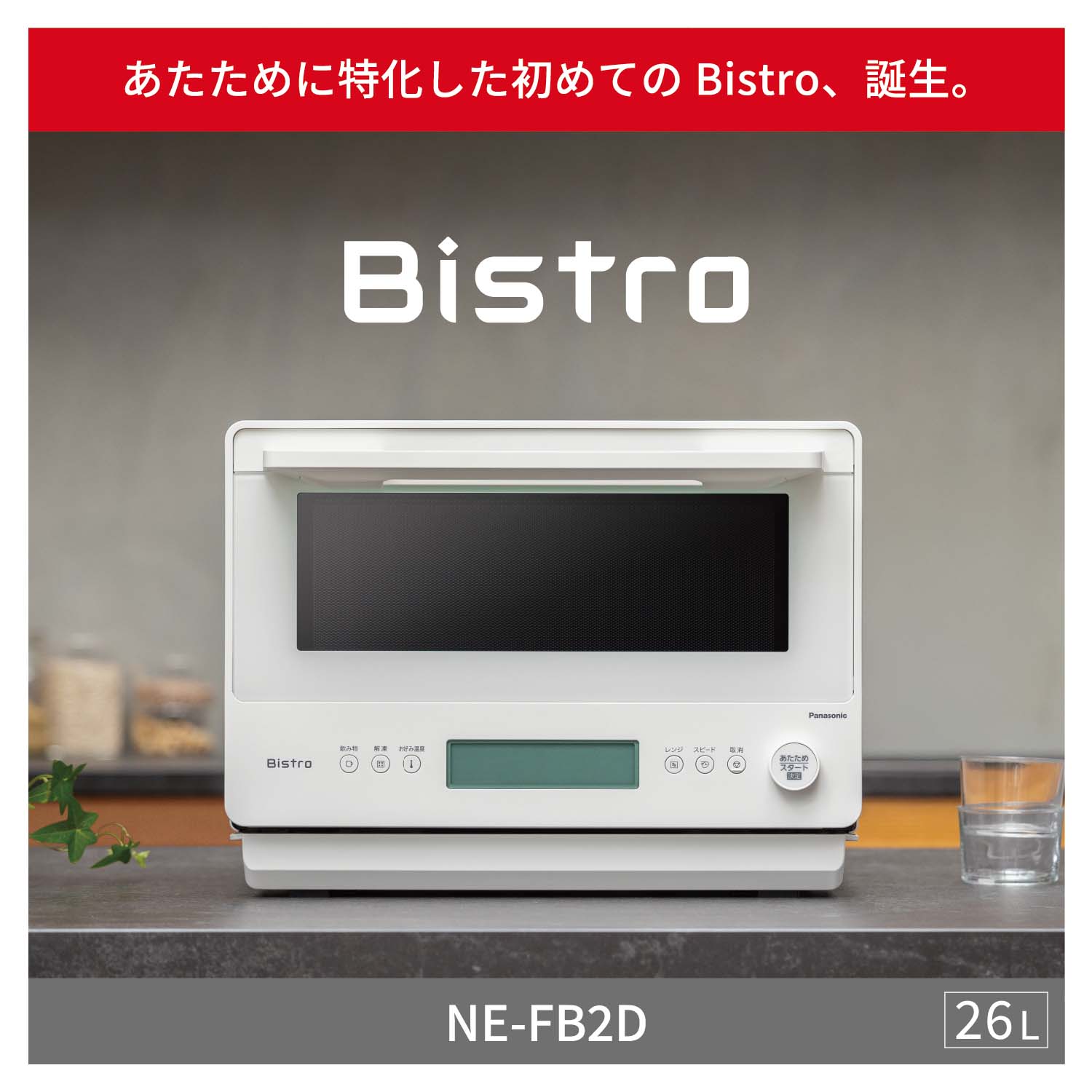 NE-FB2D-W_画像1