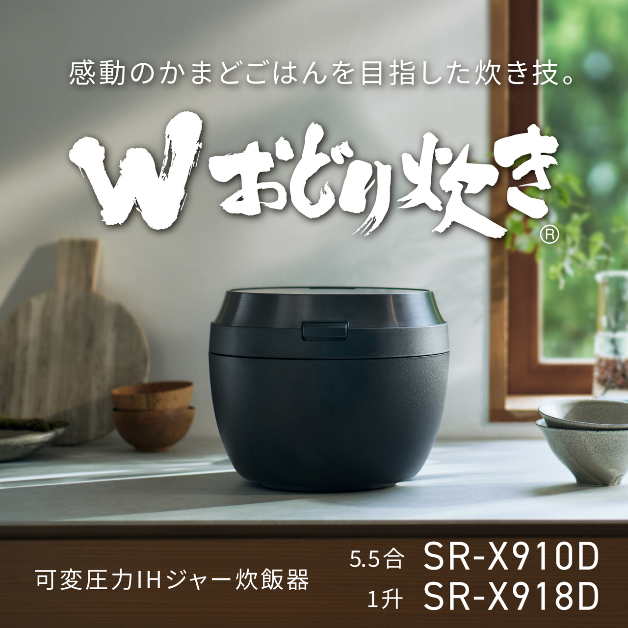 SR-X918D-H_画像1
