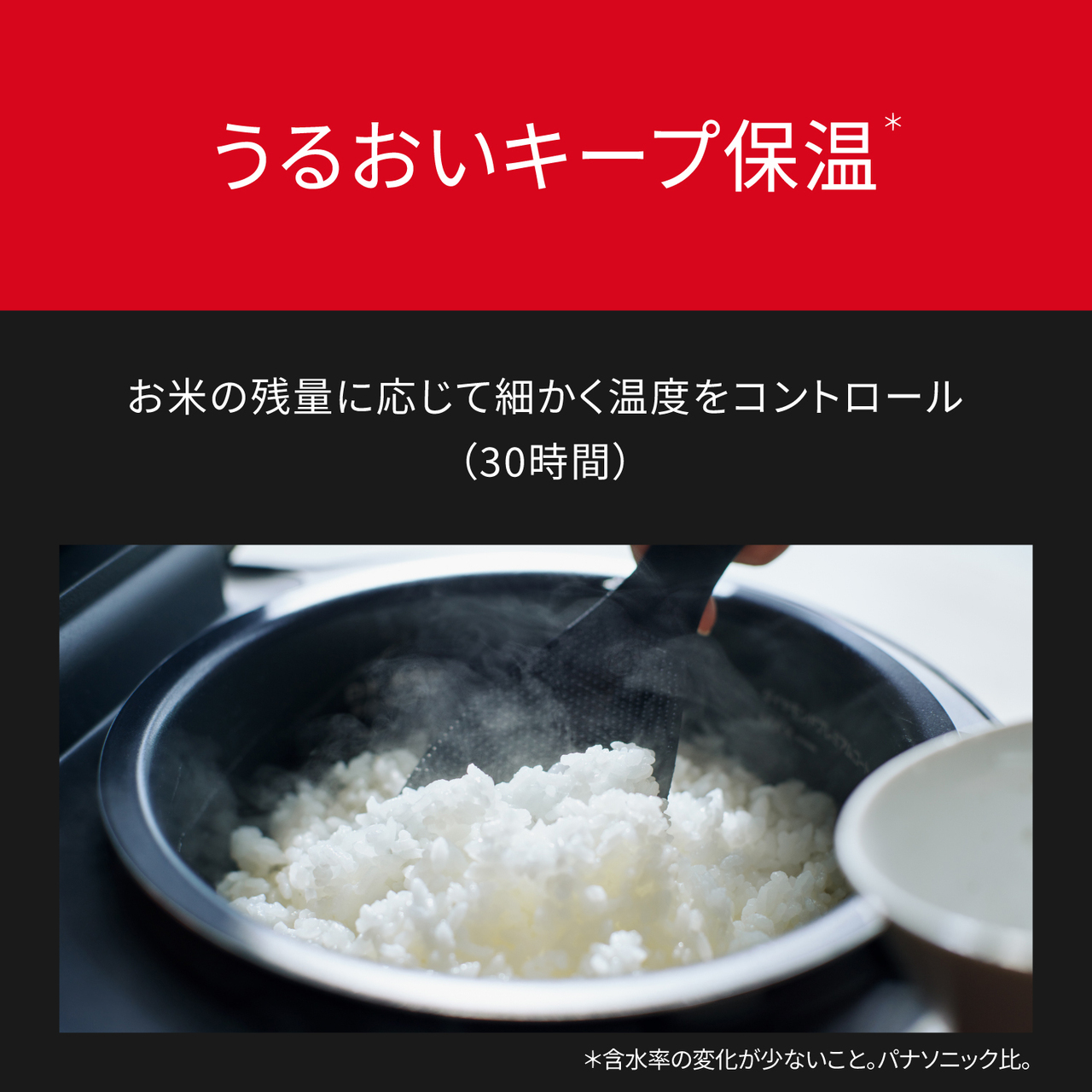 SR-X918D-H_画像7