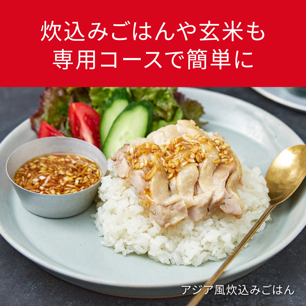 SR-X918D-H_画像9