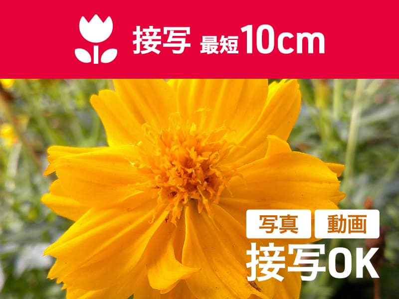 JA5-DCM0002_画像7