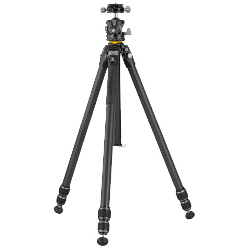 ALTA PRO 3 263CLBPS_画像1