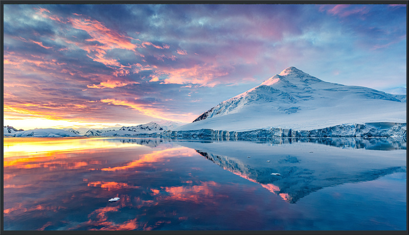 パナソニック TH-55FQ1J [55型4K液晶エントリーディスプレイ]