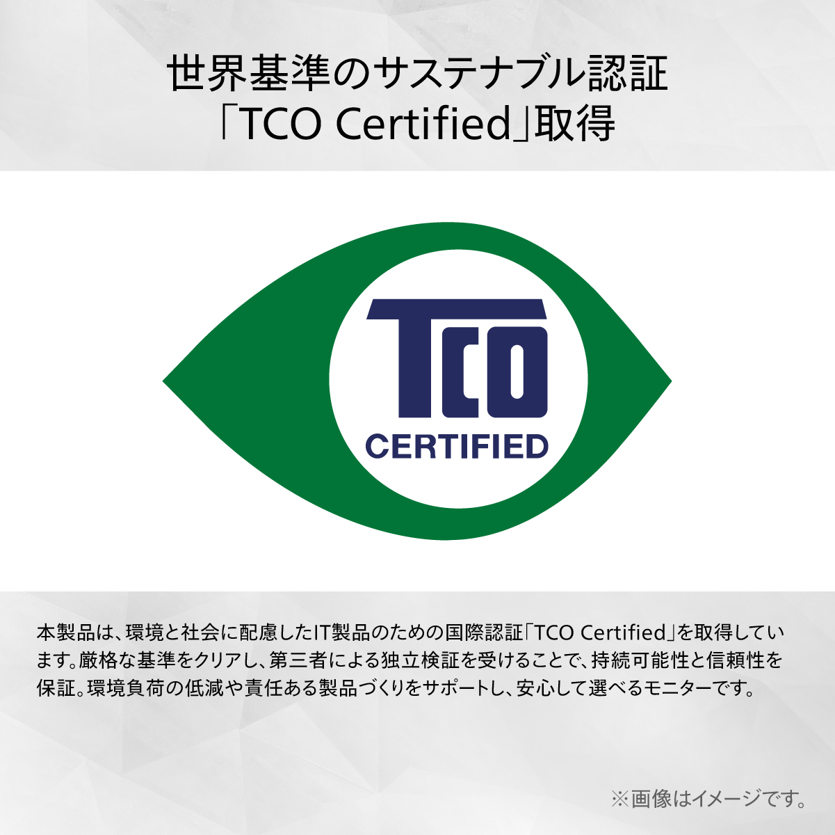 24B2U3301/11_画像9