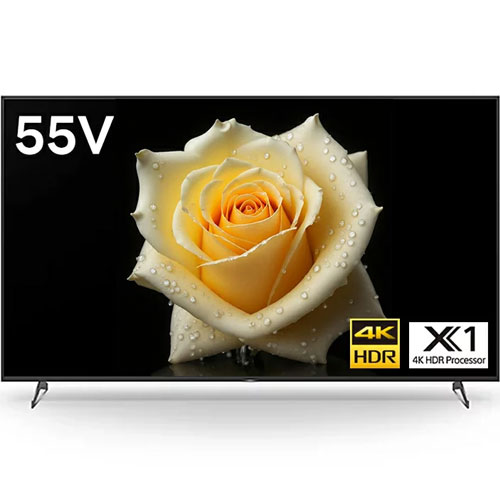 ソニー（SONY） FW-55BZ40H/BZ [55型液晶ディスプレイ/3840×2160/HDMI（3年保証・オンサイト修理対応）]