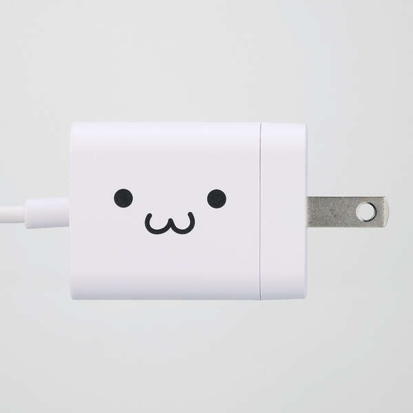 MPA-ACCP6920WF_画像1