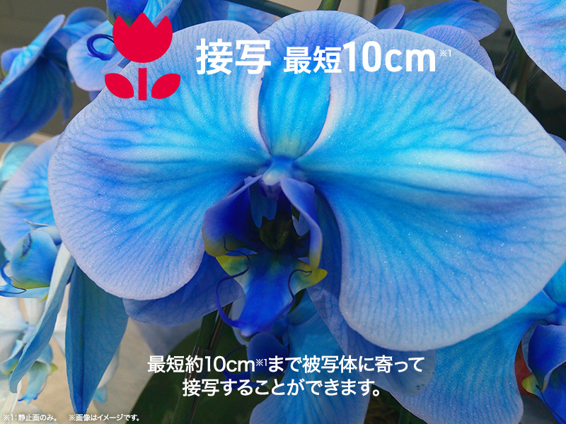 JA4-DCM0001(LB)_画像5
