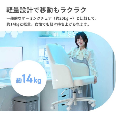 PXCH300PK-O_画像10